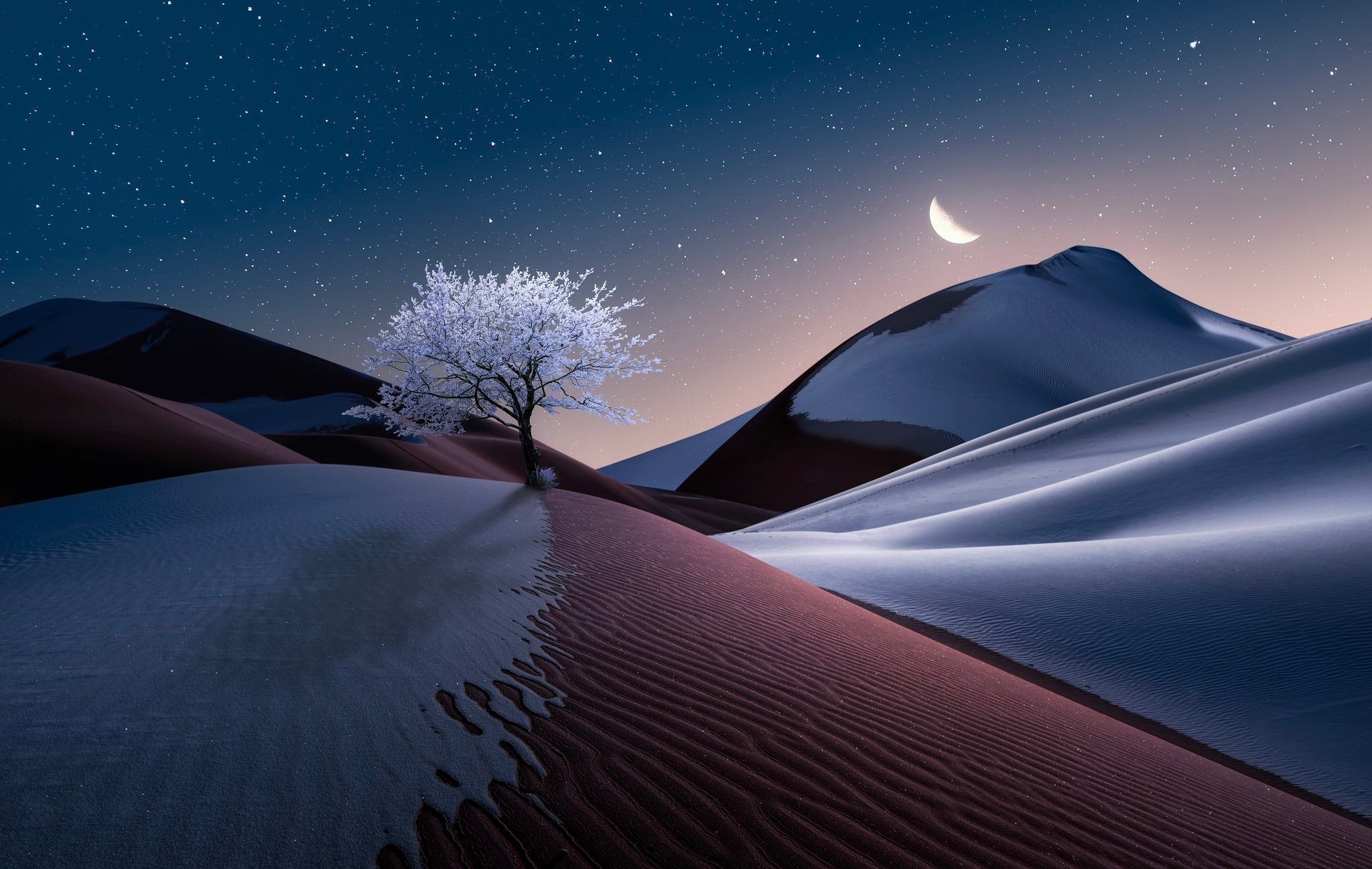 4,000+ Free Sand Dunes & Desert Images - Pixabay