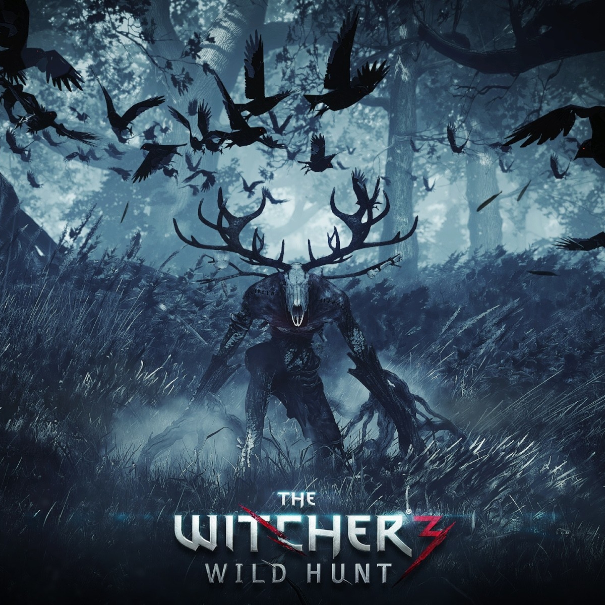 2048x2048 Resolution the witcher 3 wild hunt, final part, pc Ipad Air ...