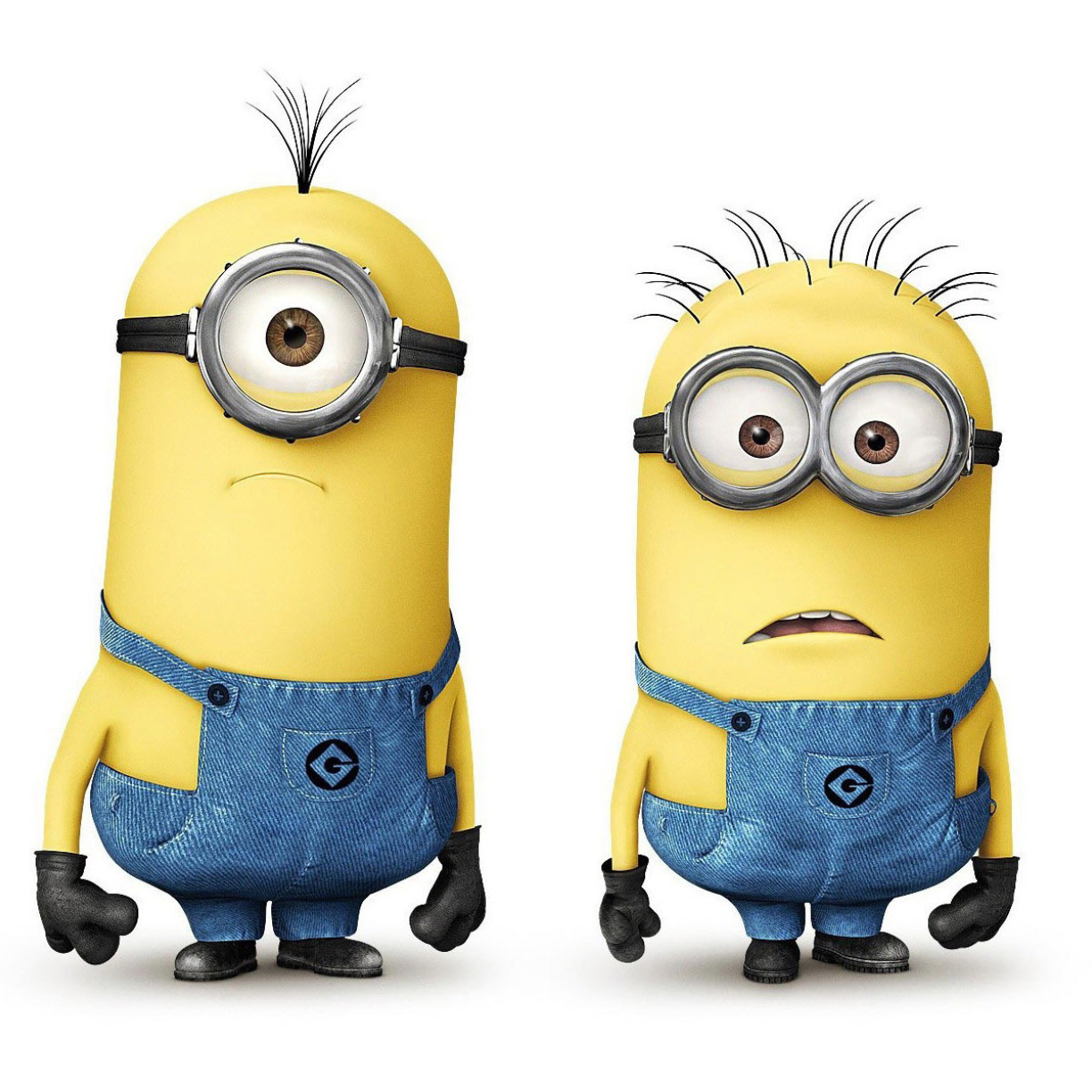 Tim And Phil Despicable Me Minions Photoshoot, Full HD Wallpaper