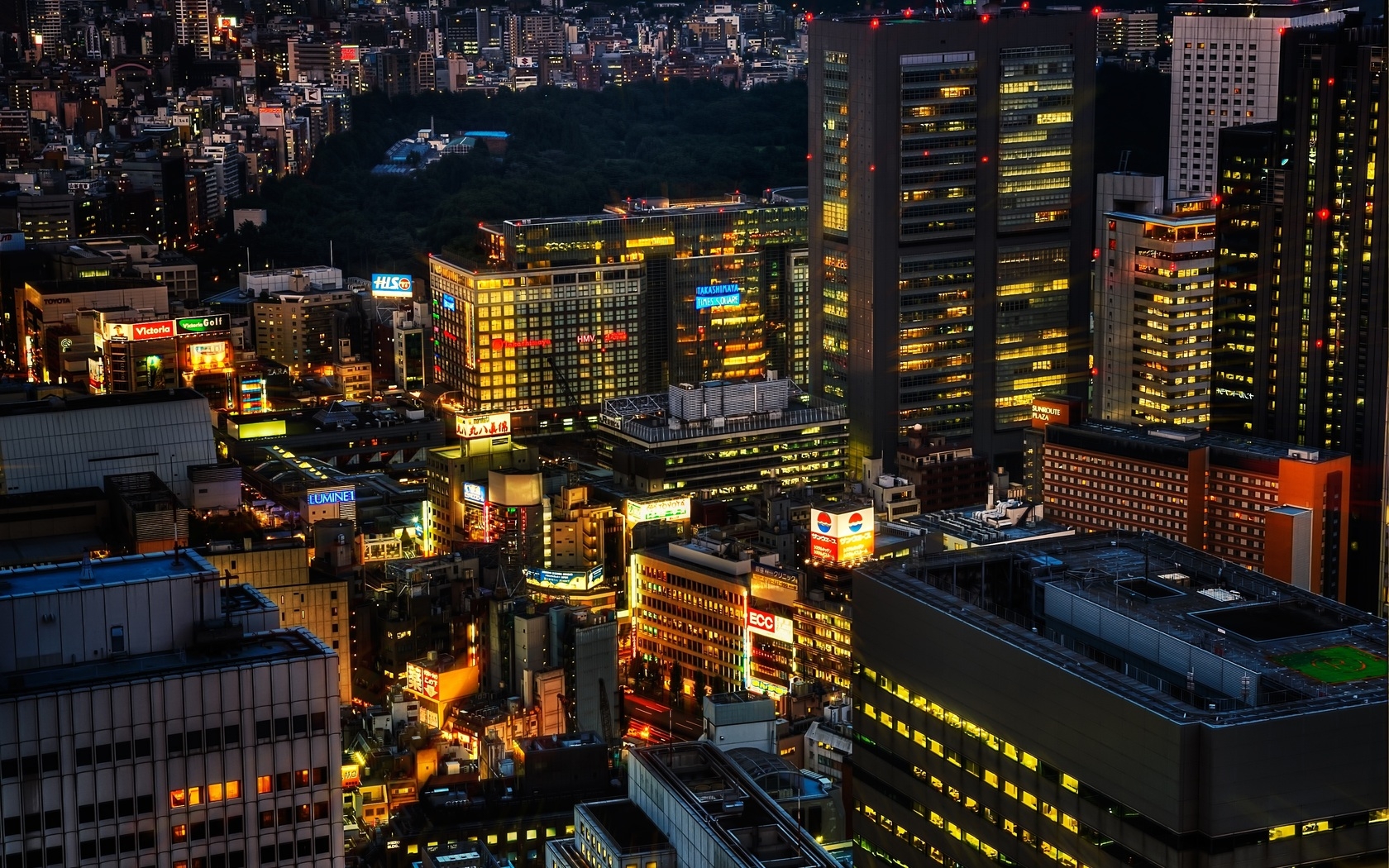 tokyo, japan, night Wallpaper, HD City 4K Wallpapers, Images, Photos and  Background - Wallpapers Den