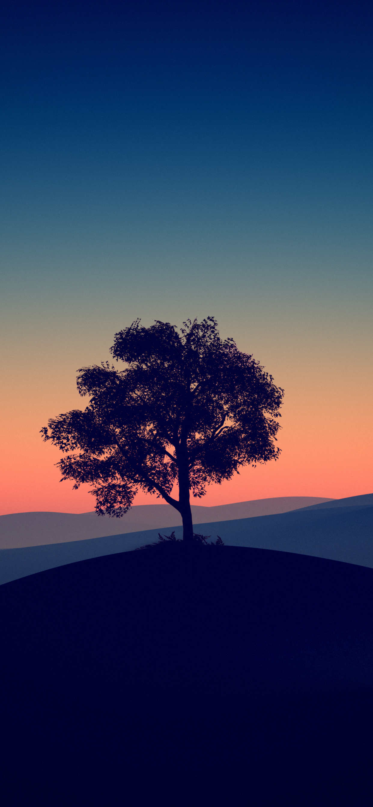 1242x2688 Tree Alone Dark Evening 4k Iphone XS MAX Wallpaper, HD Nature 4K  Wallpapers, Images, Photos and Background - Wallpapers Den