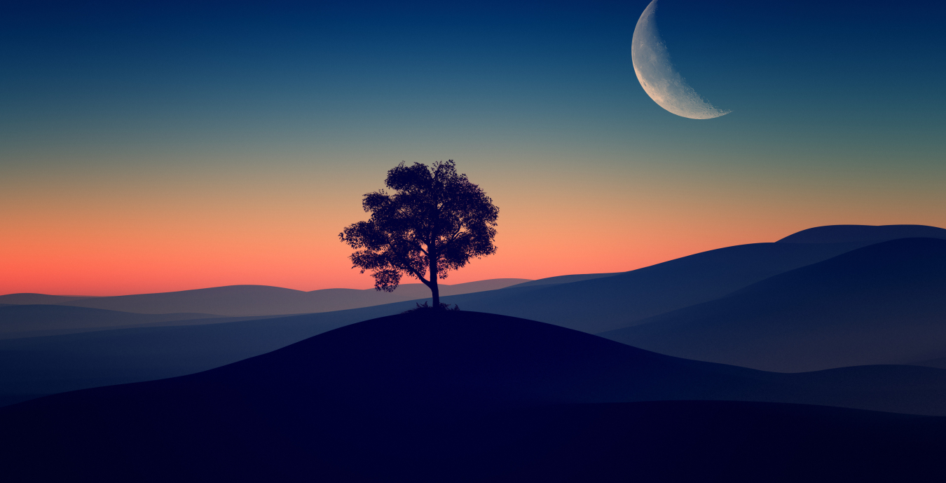 1350x689 Tree Alone Dark Evening 4k 1350x689 Resolution Wallpaper, HD