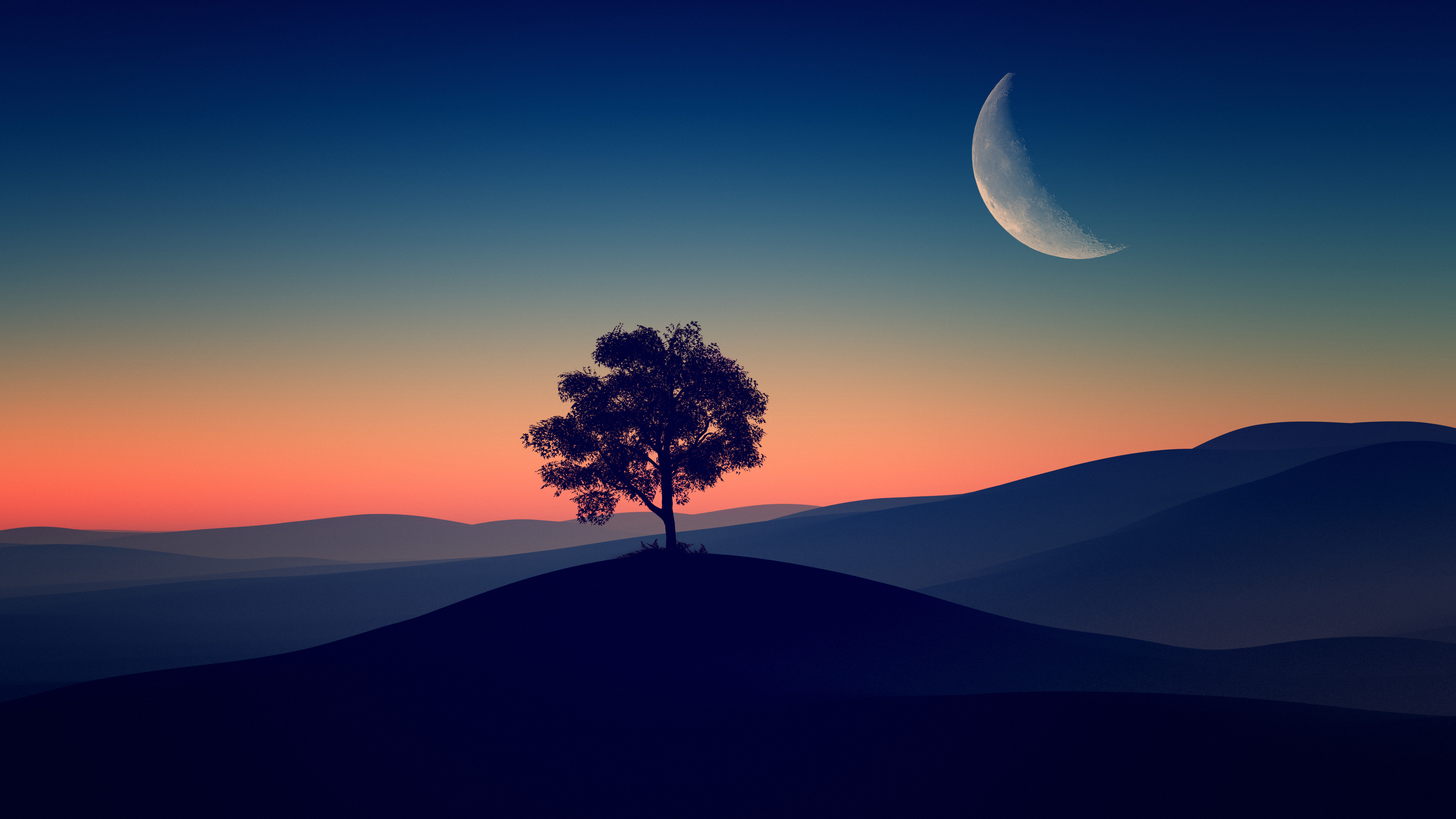 Tree Alone Dark Evening 4k Wallpaper, HD Nature 4K Wallpapers, Images,  Photos and Background - Wallpapers Den