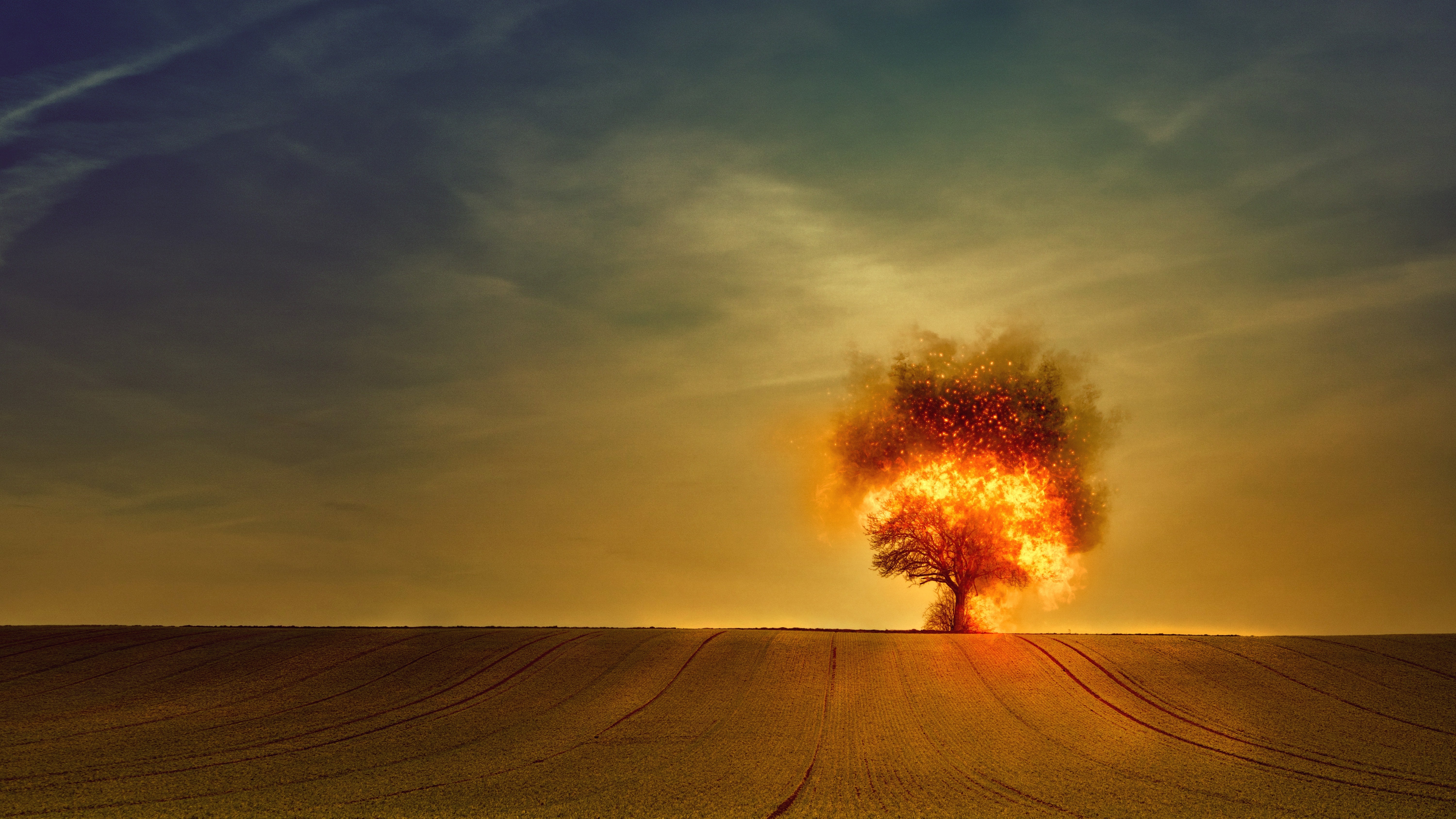 Tree On Fire Wallpaper, HD Artist 4K Wallpapers, Images, Photos and  Background - Wallpapers Den