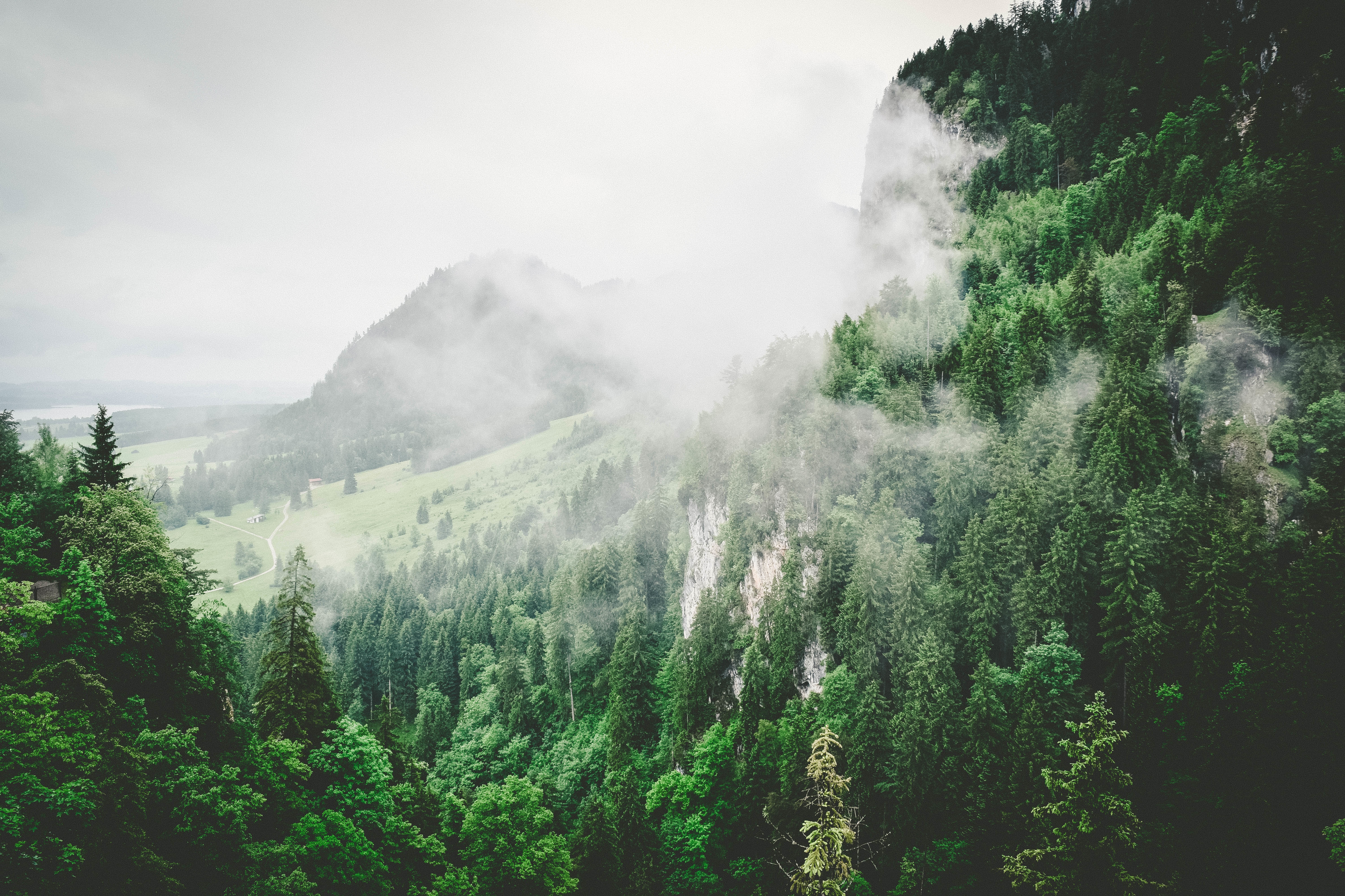 Trees Mountains Fog Wallpaper Hd Nature 4k Wallpapers Images