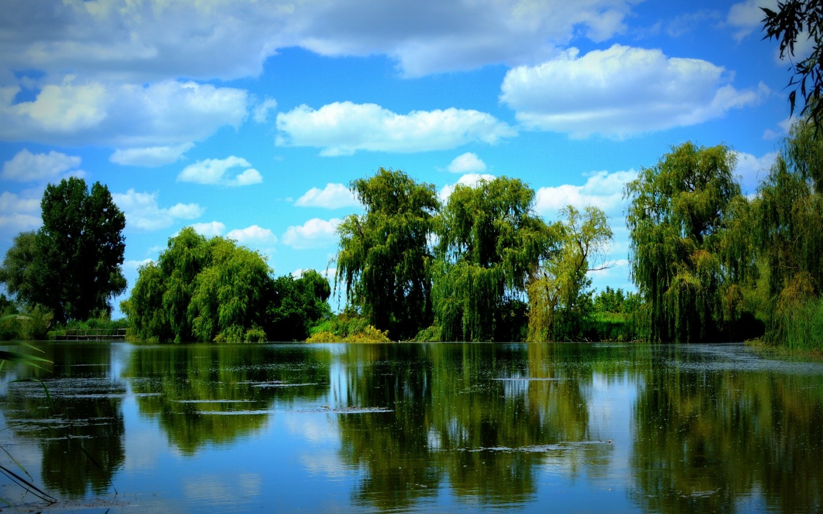 trees, pond, sky Wallpaper, HD Nature 4K Wallpapers, Images, Photos and