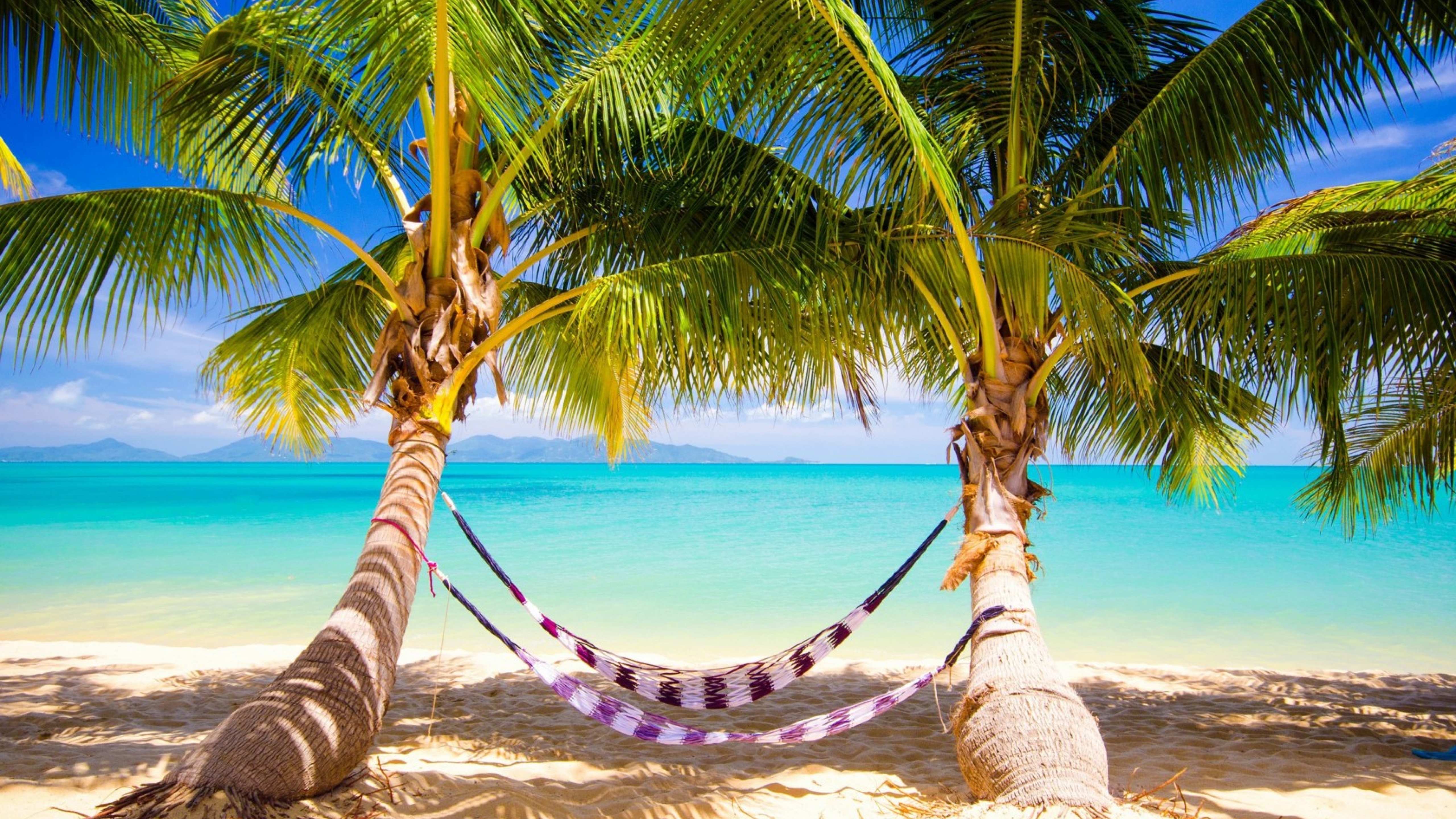 Beach tree. Голубая Лагуна Саона Доминикана. Море пляж пальмы. Побережье с пальмами. Пляж пальмы океан.