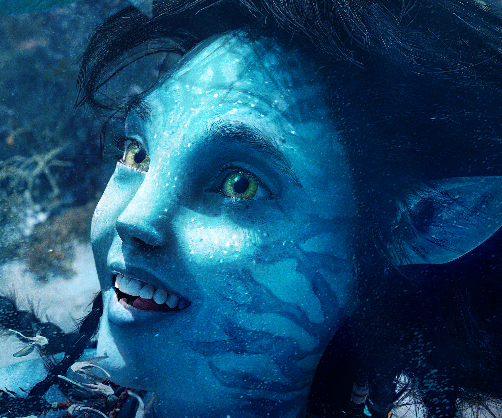 Tuktiery in Avatar 2 Wallpaper, HD Movies 4K Wallpapers, Images, Photos and  Background - Wallpapers Den