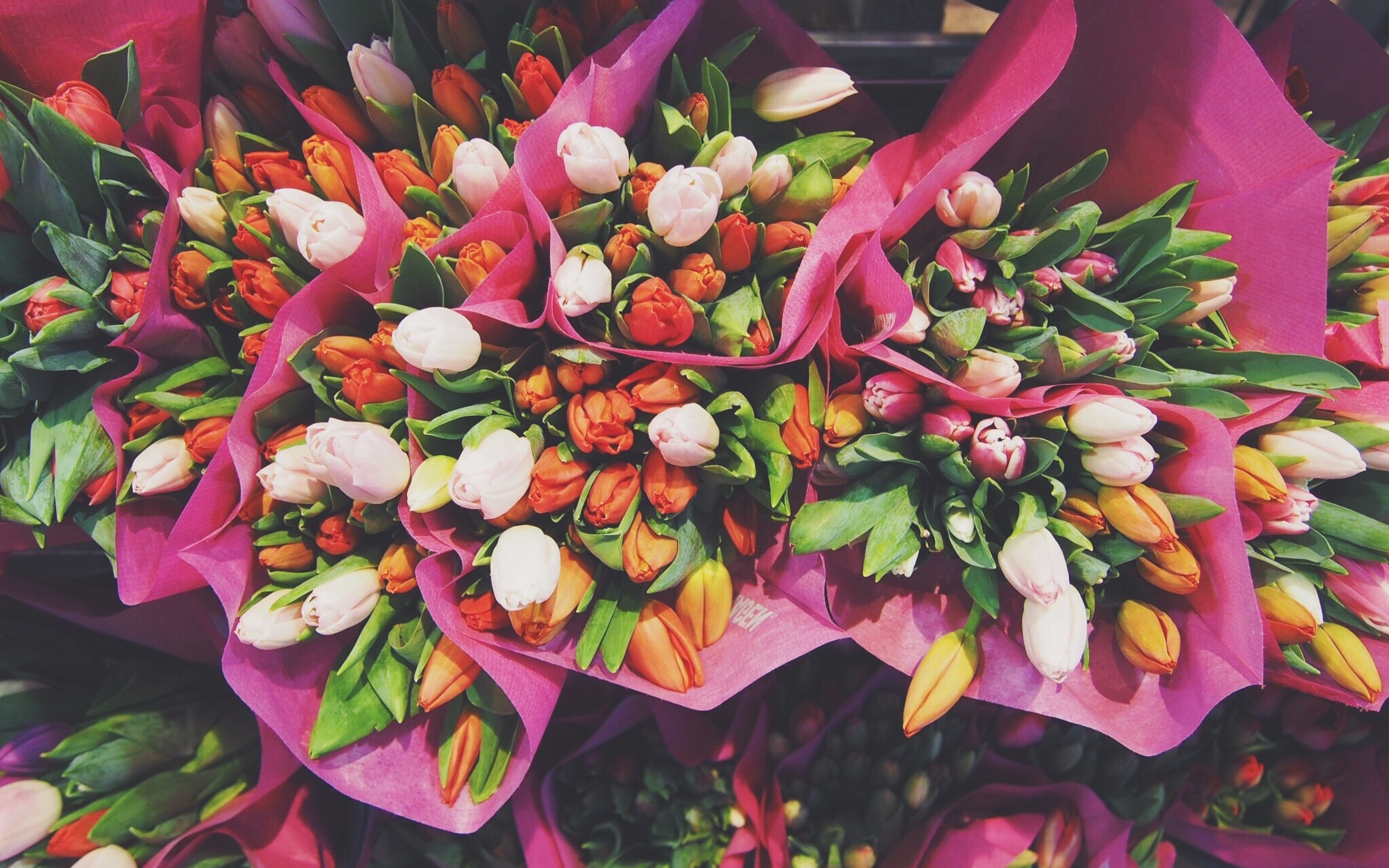 Сколько тюльпанов в букете на 8. Букеты. Букет цветов. Красивый букет. Цветы тюльпаны.