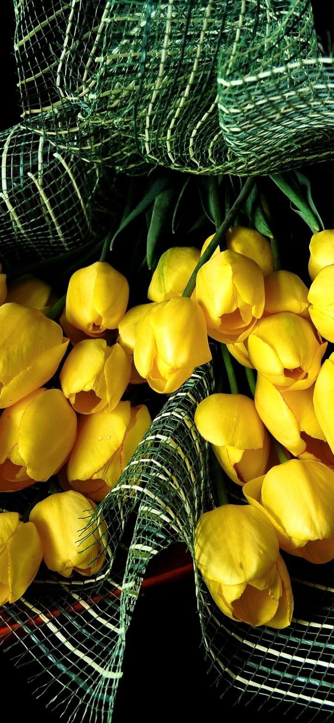 1125x2436 tulips, flowers, yellow Iphone XS,Iphone 10 ...