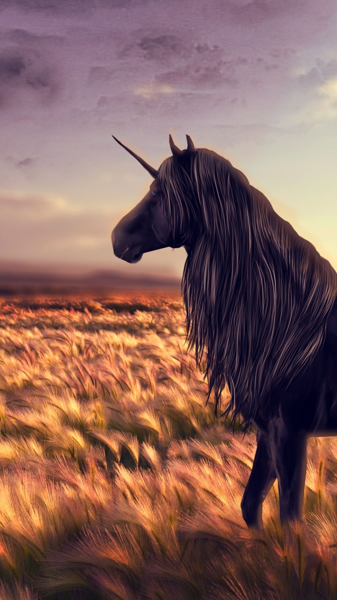 Unicorn In Field, HD 4K Wallpaper