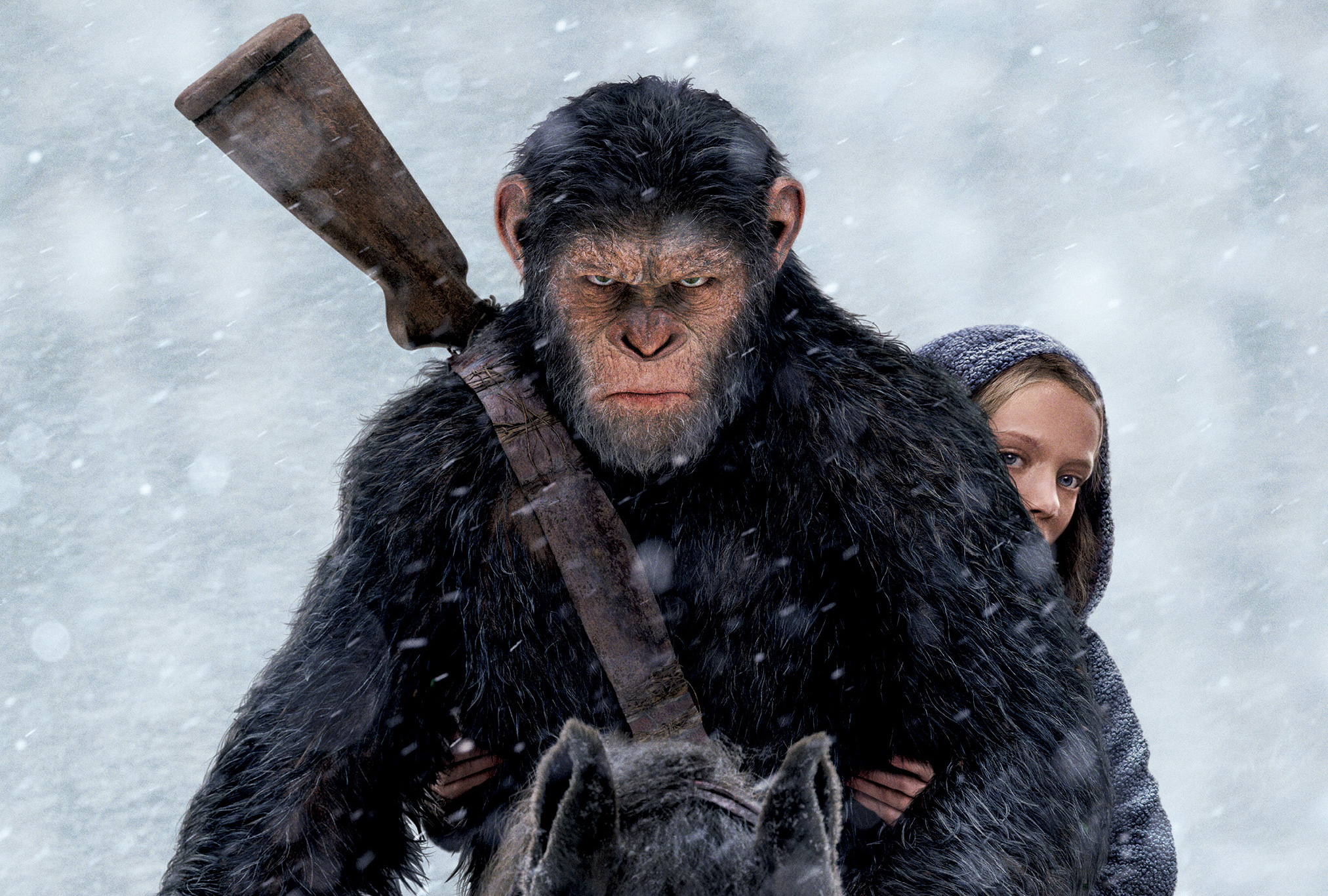 Watch War For The Planet Of The Apes War For The Planet Of The Apes Movie Still Wallpaper, HD Movies 4K