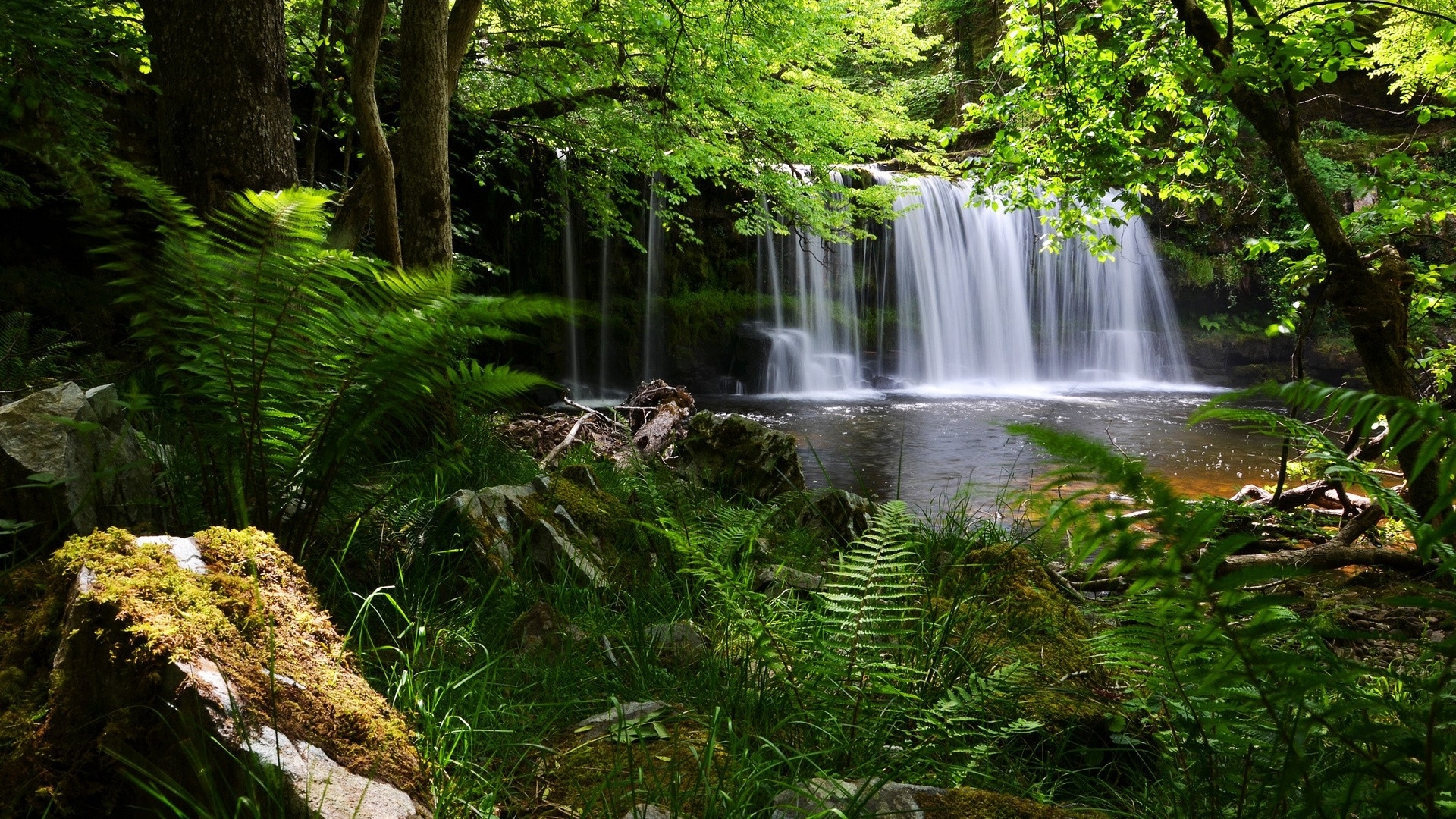 1920x1080 Resolution Waterfall Grass Nature 1080p Laptop Full Hd