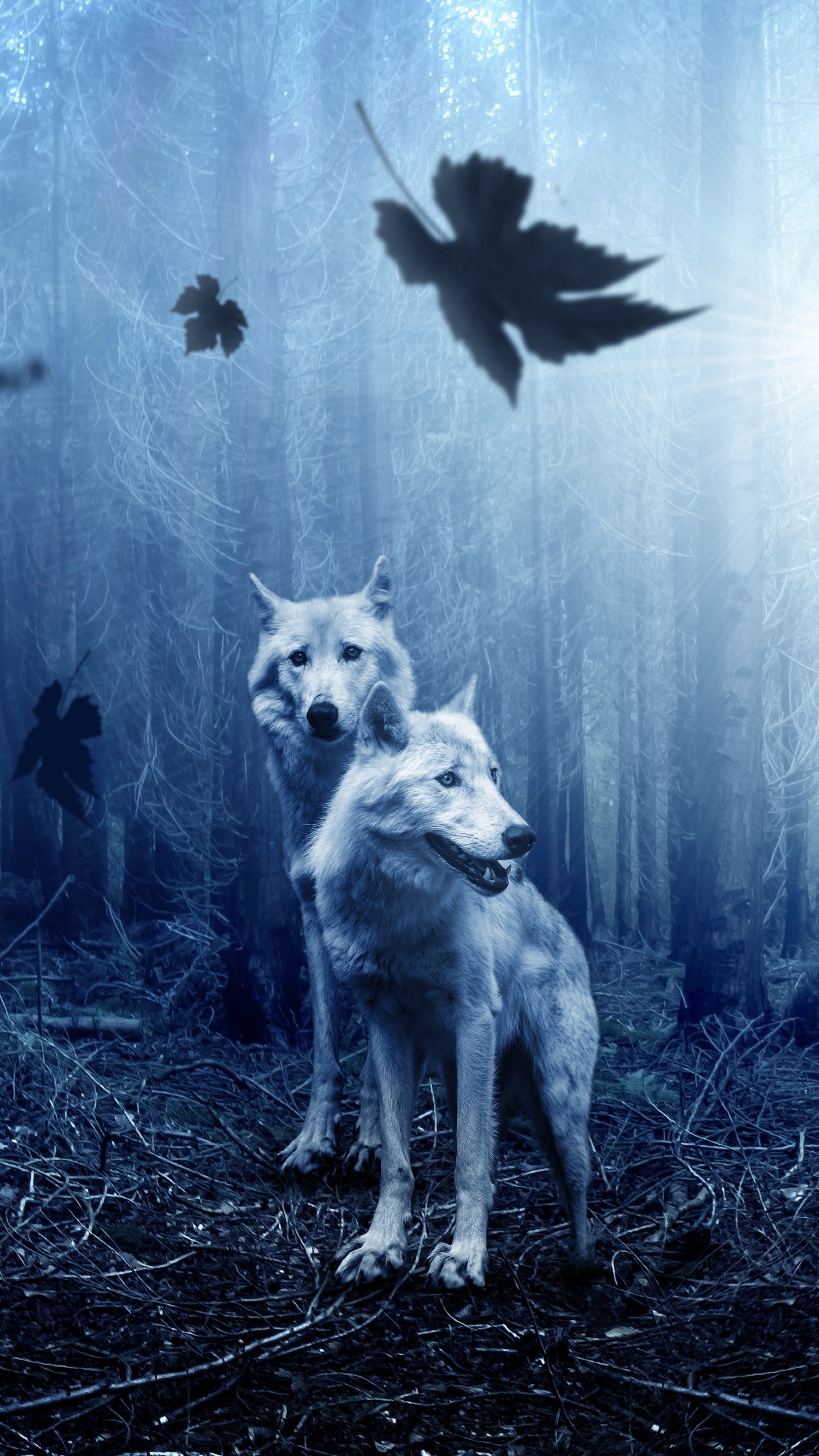 Волков про телефон. Красивый волк. Мистические волки. Волк на заставку. Волк мистика.