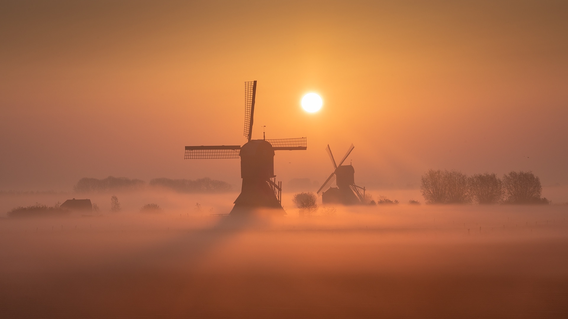 390437 Noord Holland Province The Netherlands 4k - Rare Gallery HD  Wallpapers
