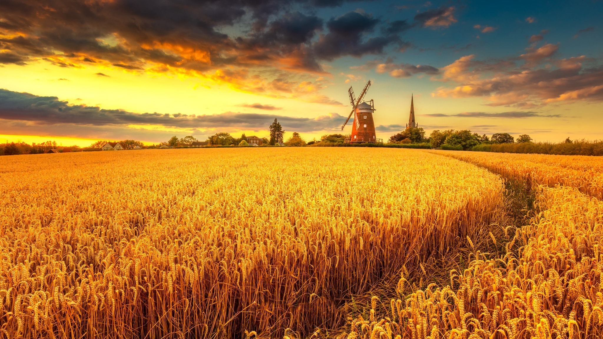 Windmill on Wheat Field at Sunset Wallpaper, HD Nature 4K Wallpapers,  Images, Photos and Background - Wallpapers Den