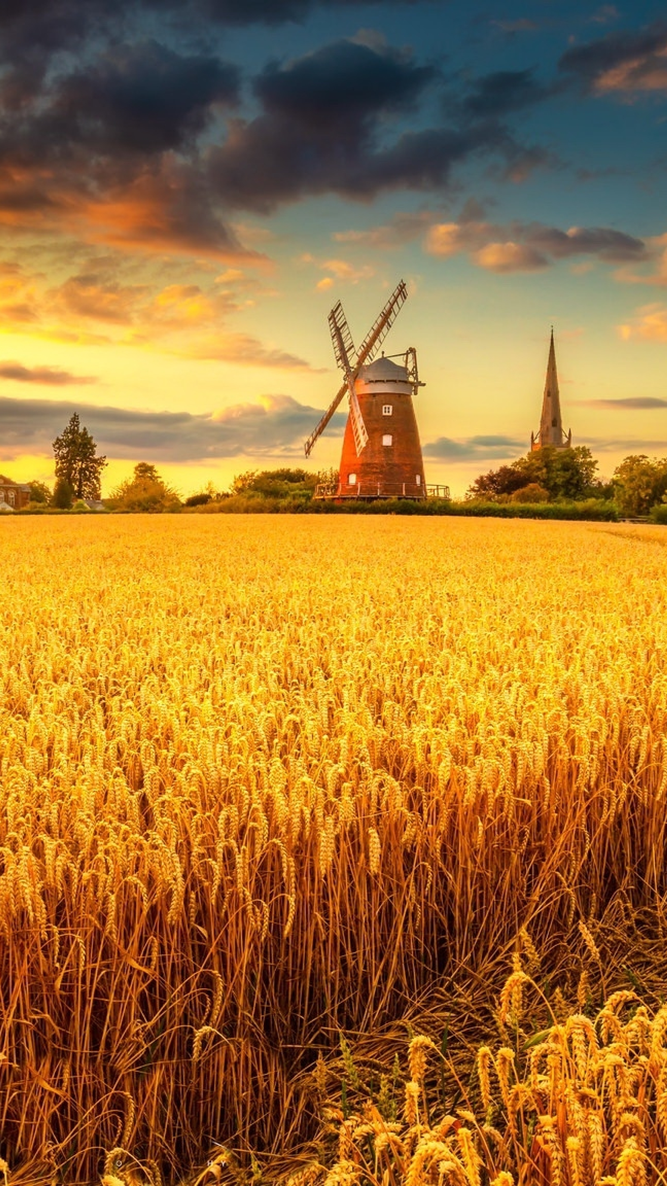 2160x3840 Windmill on Wheat Field at Sunset Sony Xperia X,XZ,Z5 Premium