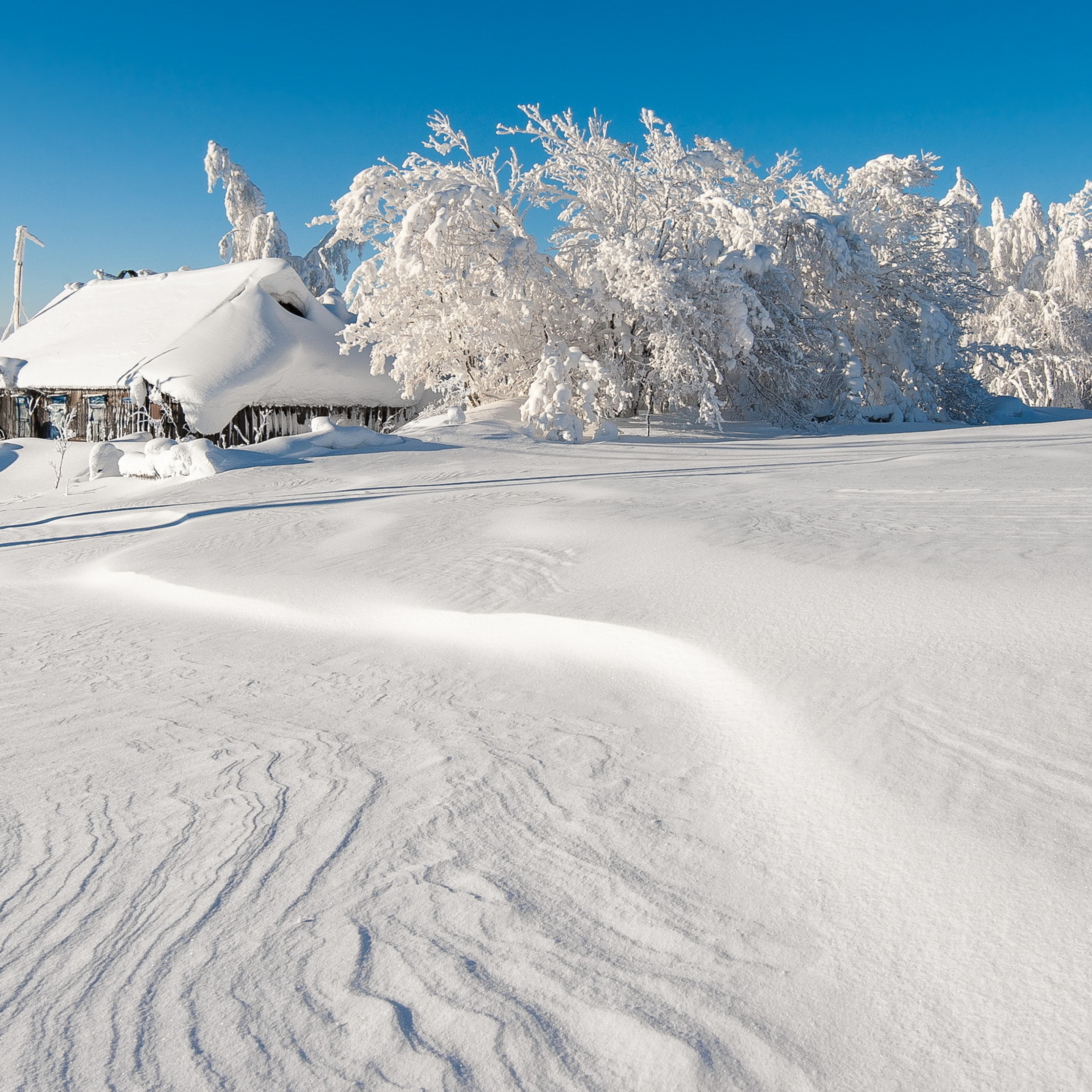 Snow. Снег. Зима. Сугробы. Снег сугробы.