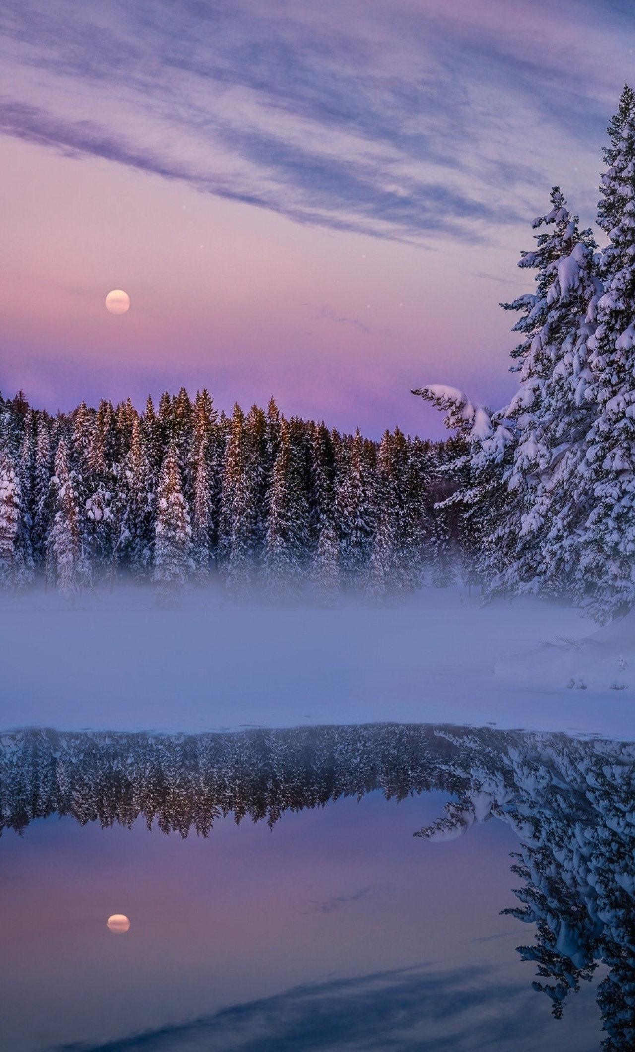 Winter Fog, Snow, Trees And Lake, Full HD 2K Wallpaper