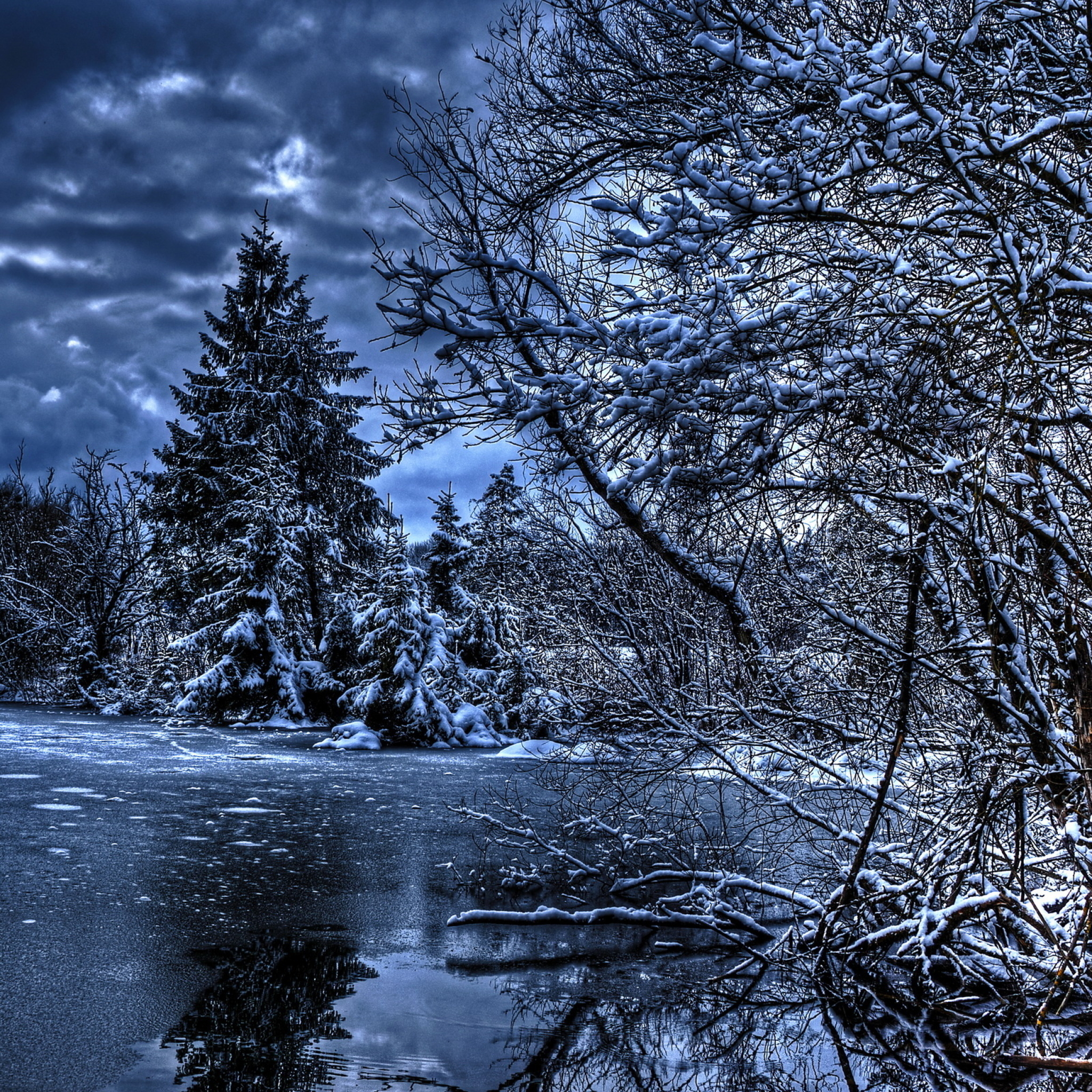 Dark winter wallpaper