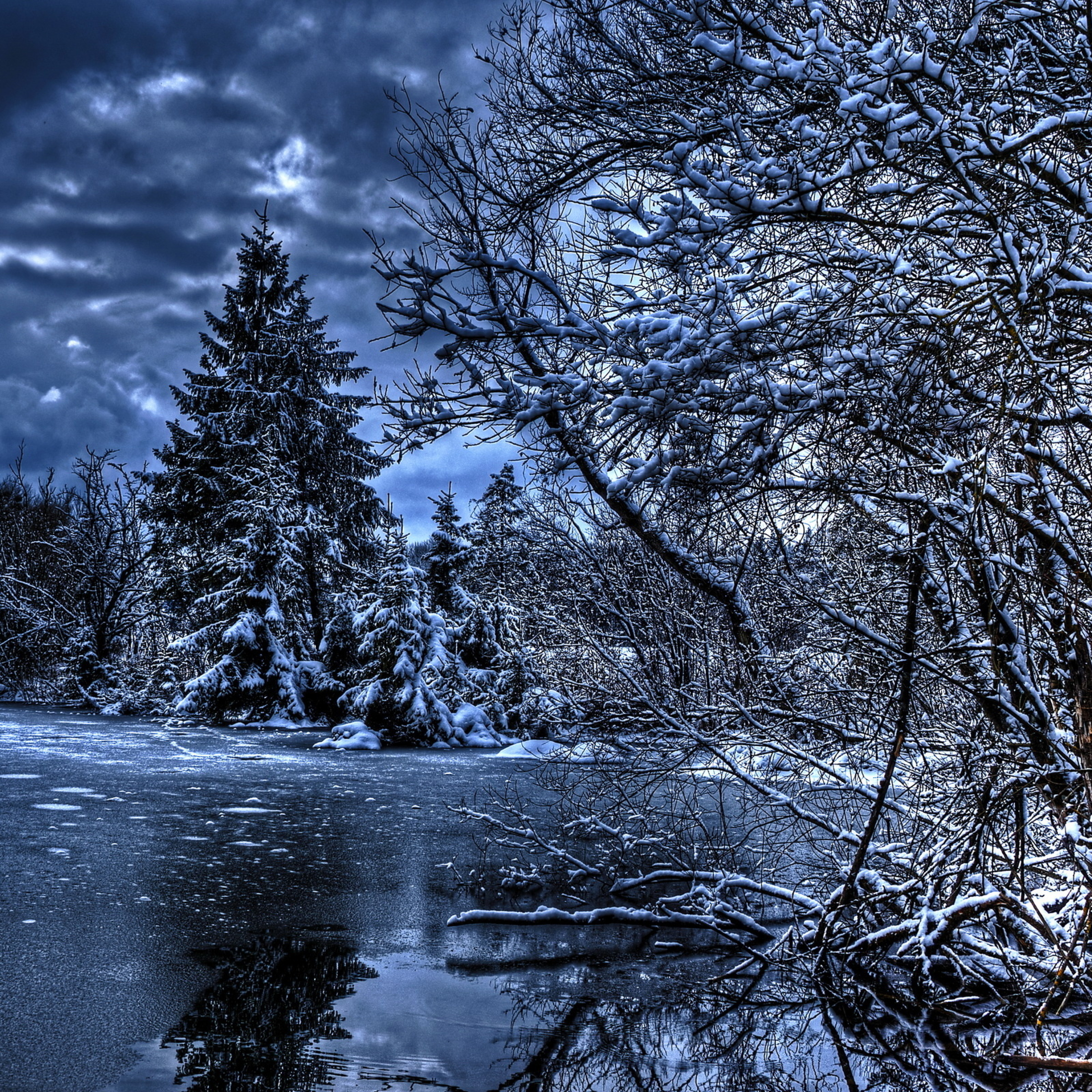 Тихи пруды холод и мрак вод их. Зимнее озеро. Зимняя река. Ночной зимний лес. Зимний пейзаж на рабочий стол.