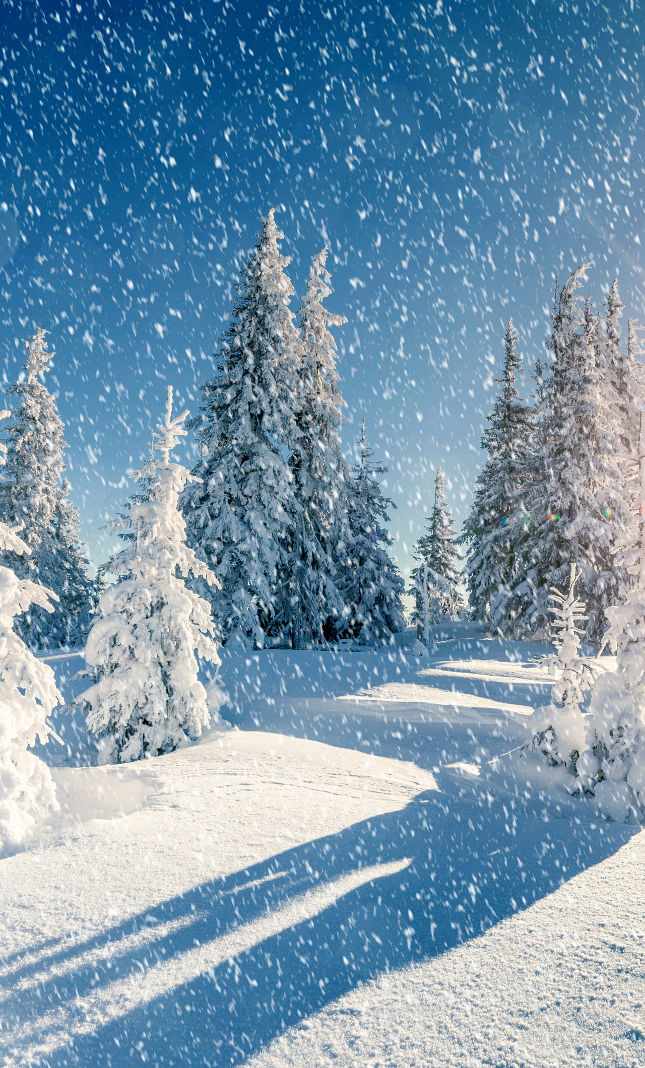 1280x2120 Winter Trees Snow Season iPhone 6 plus Wallpaper, HD Nature ...