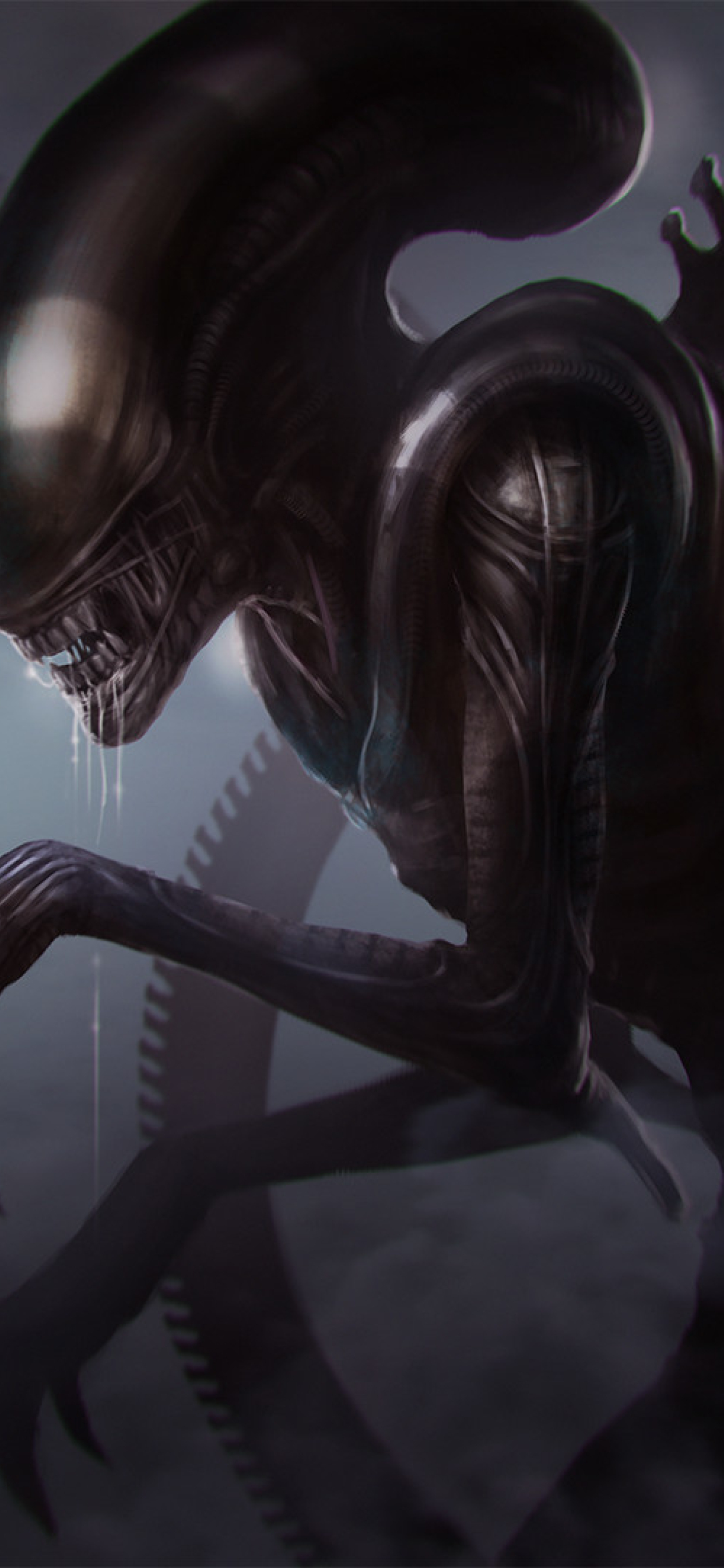 1242x26 Xenomorph Queen Iphone Xs Max Wallpaper Hd Fantasy 4k Wallpapers Images Photos And Background Wallpapers Den