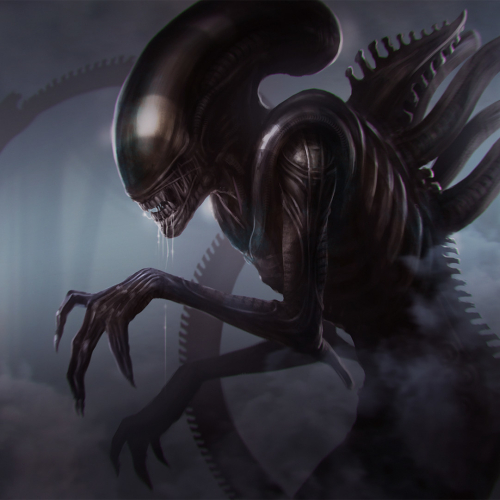 500x500 Resolution Xenomorph Queen 500x500 Resolution Wallpaper ...