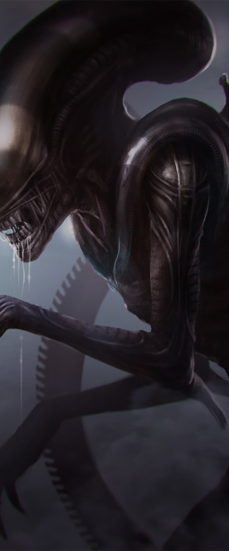 750x1800 Resolution Xenomorph Queen 750x1800 Resolution Wallpaper