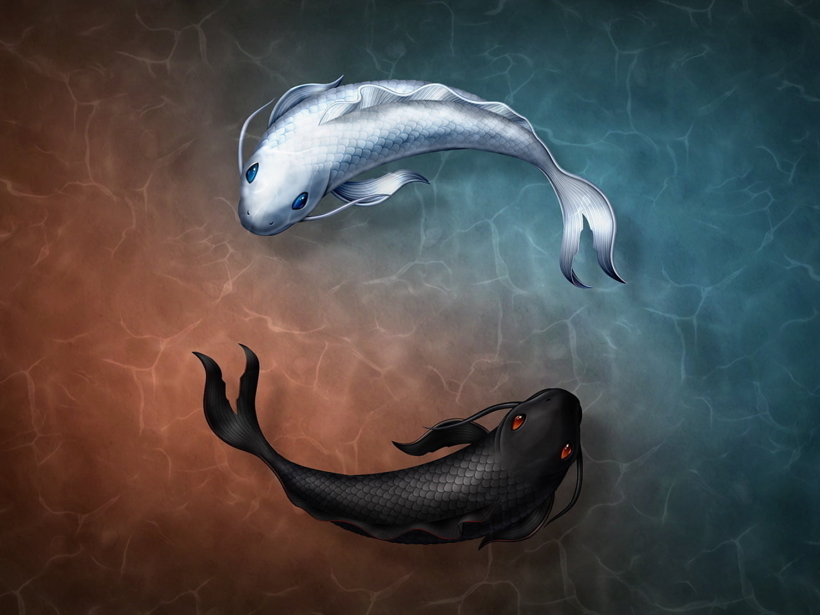 Yin And Yang Fish Symbol, Full HD Wallpaper