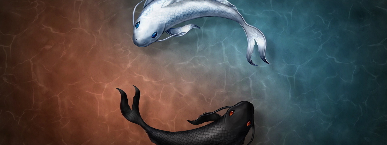 1600x600 Yin and Yang Fish Symbol 1600x600 Resolution Wallpaper, HD Animals  4K Wallpapers, Images, Photos and Background - Wallpapers Den