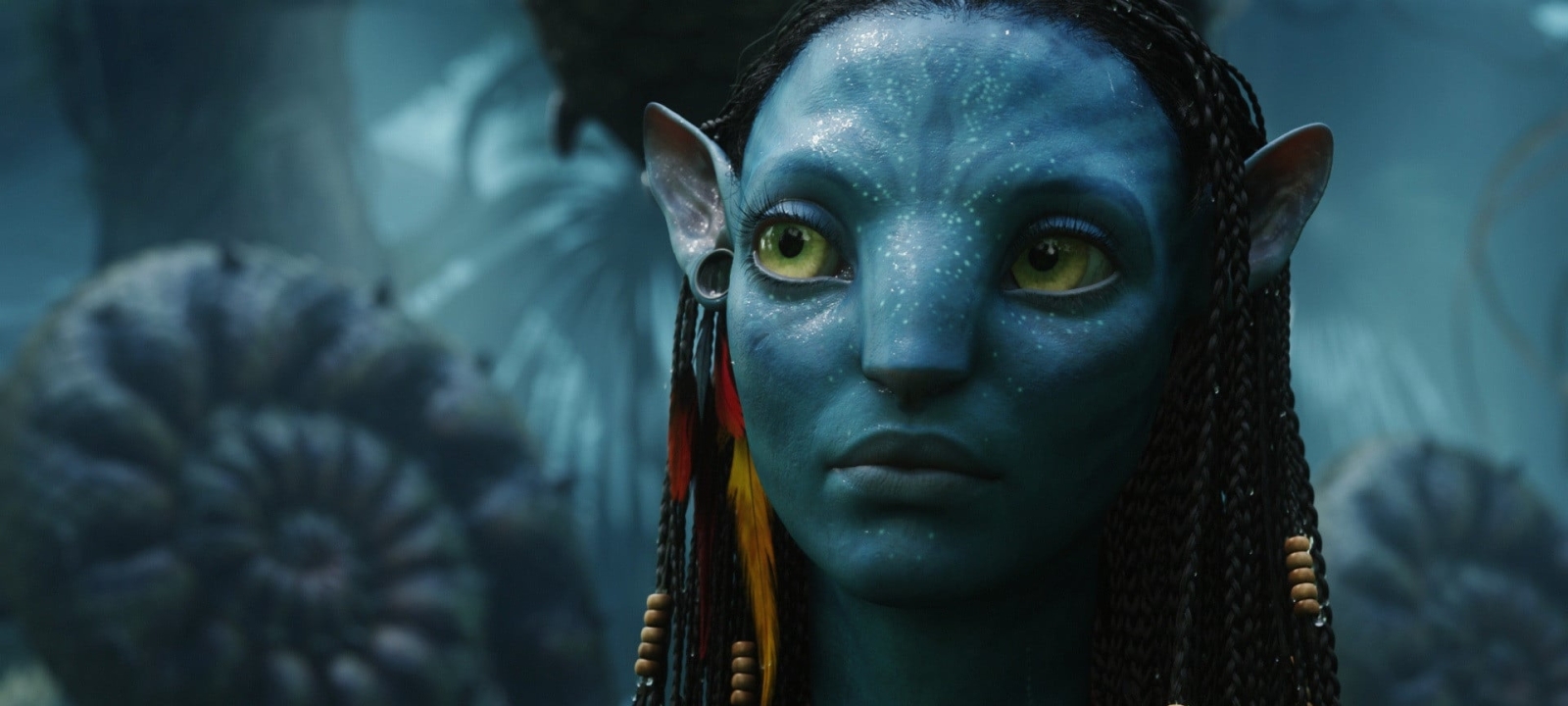 1600x720 Resolution Zoe Saldana as Neytiri in Avatar 1600x720 ...