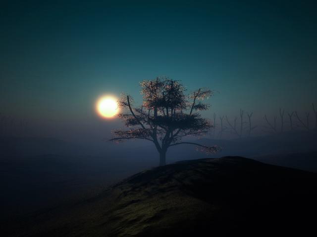 Full Moon on Foggy Night Wallpaper, HD Nature 4K Wallpapers, Images, Photos and Background