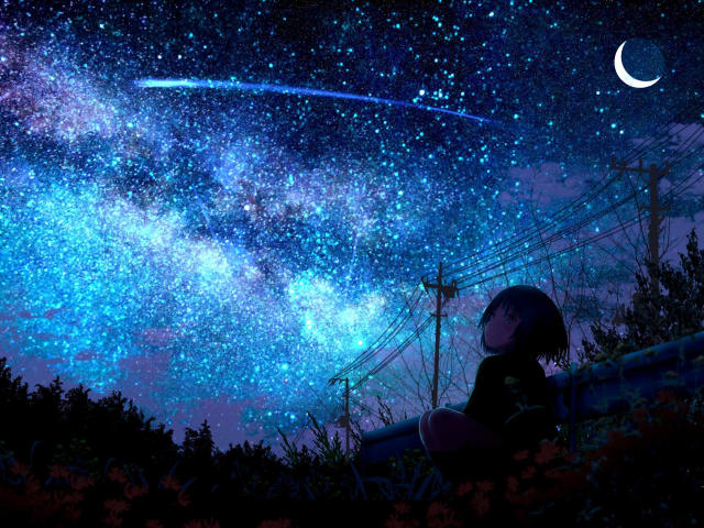 Lonely Girl Starring Shooting Star Wallpaper, HD Anime 4K ...