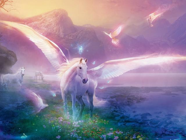 magic of the pegasus