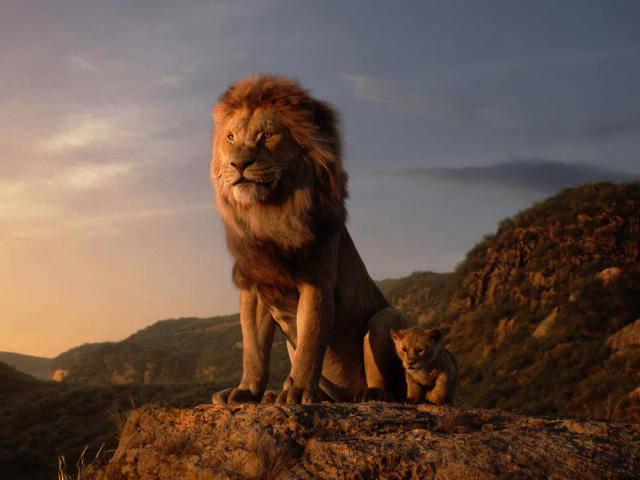 16 Popular Lion HD Wallpapers in 1080P Laptop Full HD, 1920x1080 Resolution  Images