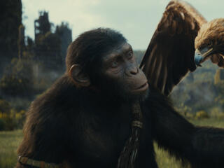 2023 Movie Kingdom of the Planet of the Apes wallpaper