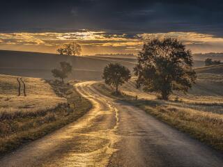 4K Golden Sunrise Country Road wallpaper