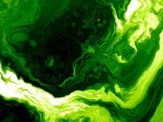 Abstract Green 4k Liquidfy wallpaper