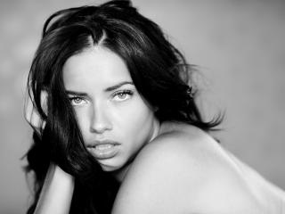 Adriana Lima Black And White Images HD wallpaper