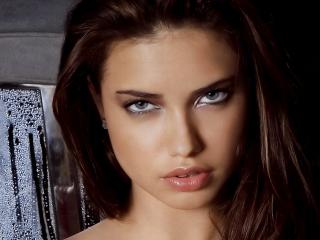 Adriana Lima Sizzling Wallpapers HD wallpaper
