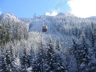 aerial lift, cabins, trees Wallpaper