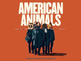 American Animals 2018 Movie Poster wallpaper