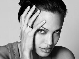 Angelina Jolie Black and White HD wallpaper wallpaper