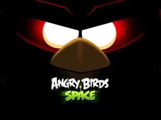 angry birds space, angry birds, bird Wallpaper