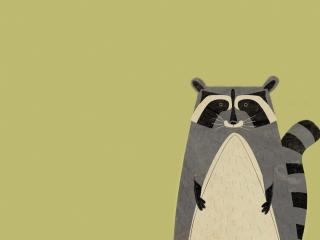 animal, raccoon, minimalism Wallpaper