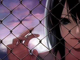 anime, girl, fence wallpaper