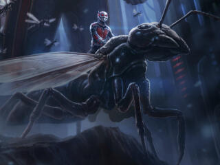 Ant-Man 4k Cool Poster wallpaper