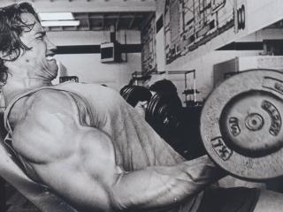 Arnold Schwarzenegger Bodybuilding Pics wallpaper