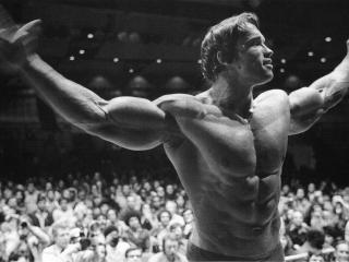 Arnold Schwarzenegger Bodybuilding Poster wallpaper